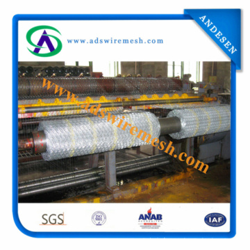 La mejor calidad ISO9001 Hexagoanl Wire Mesh Manufacturer